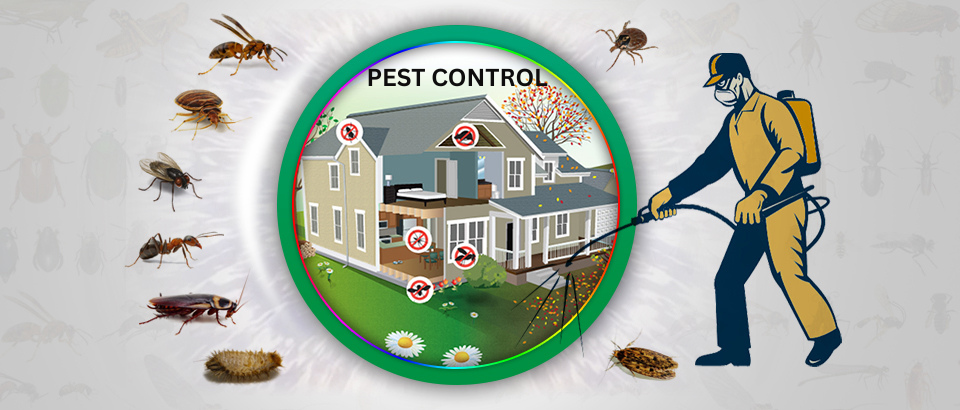 Pest control services